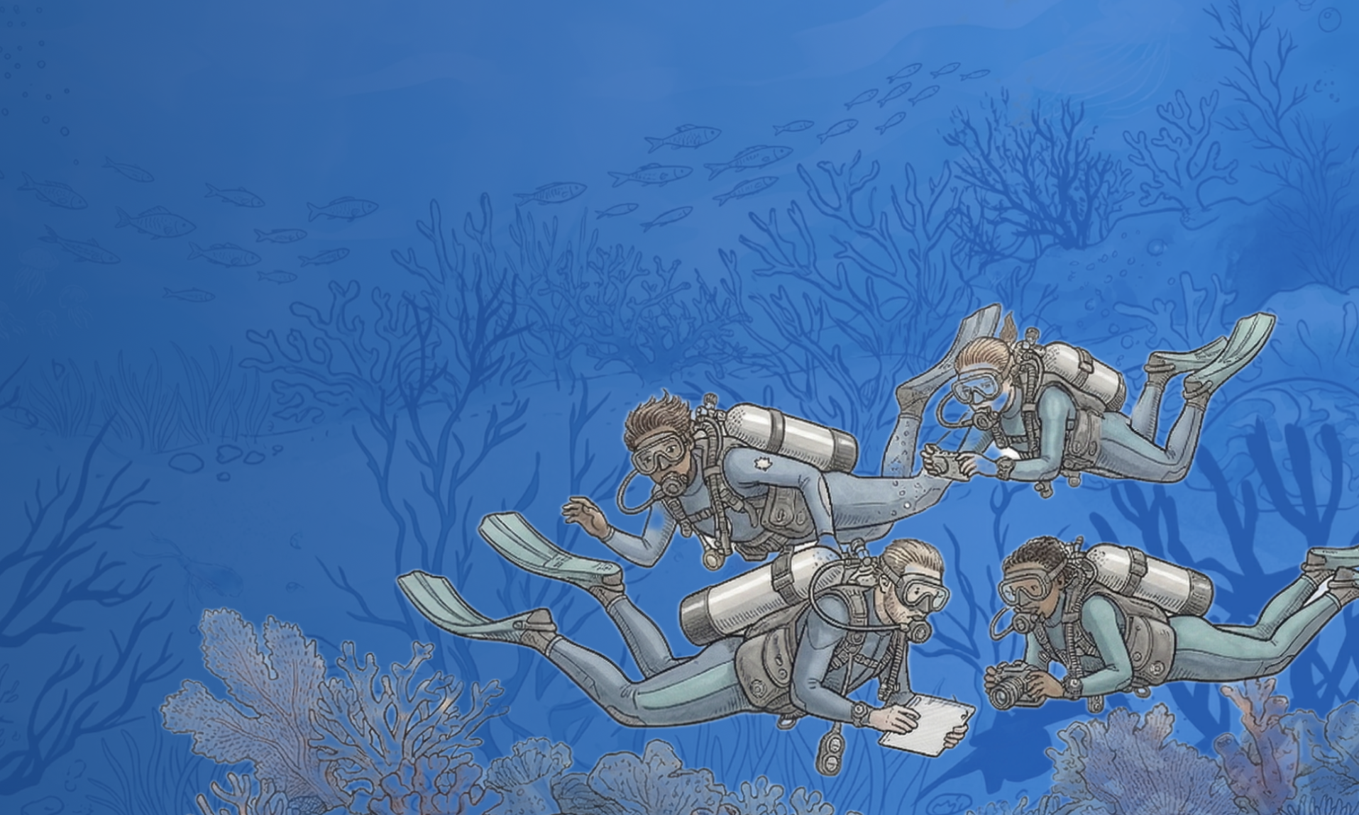 From Course Catalog to Adventure Ecosystem